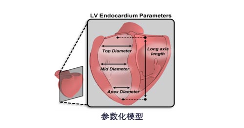 參數化模型
